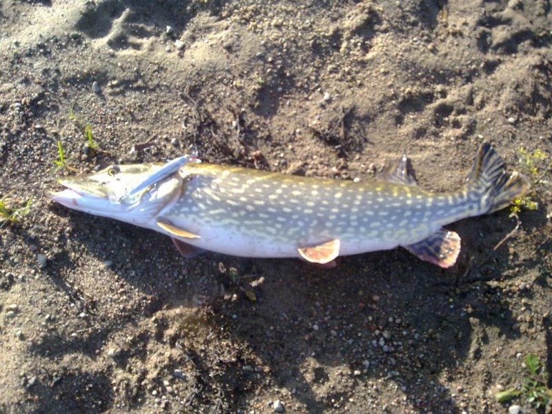 20131118487.jpg
