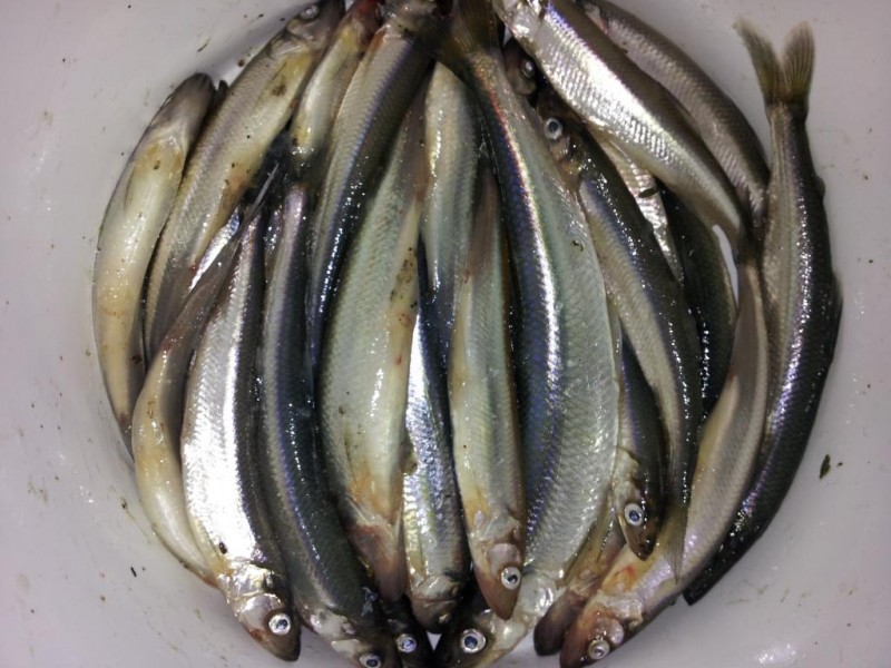 20131122_210517.jpg