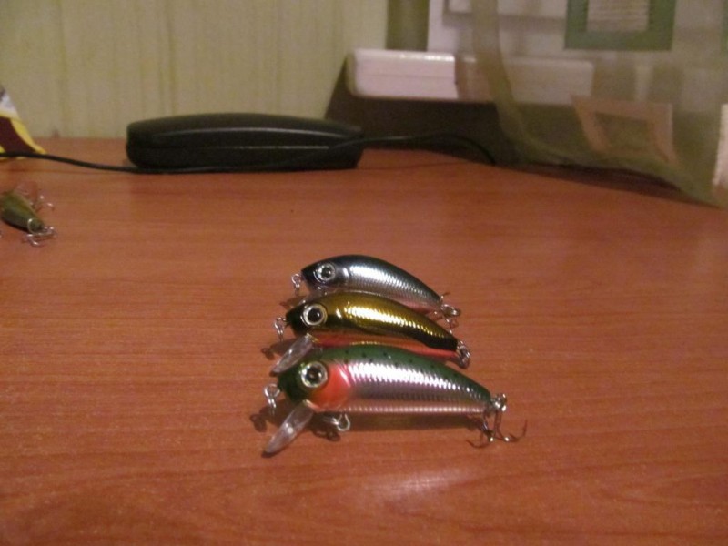 L-minnow.JPG