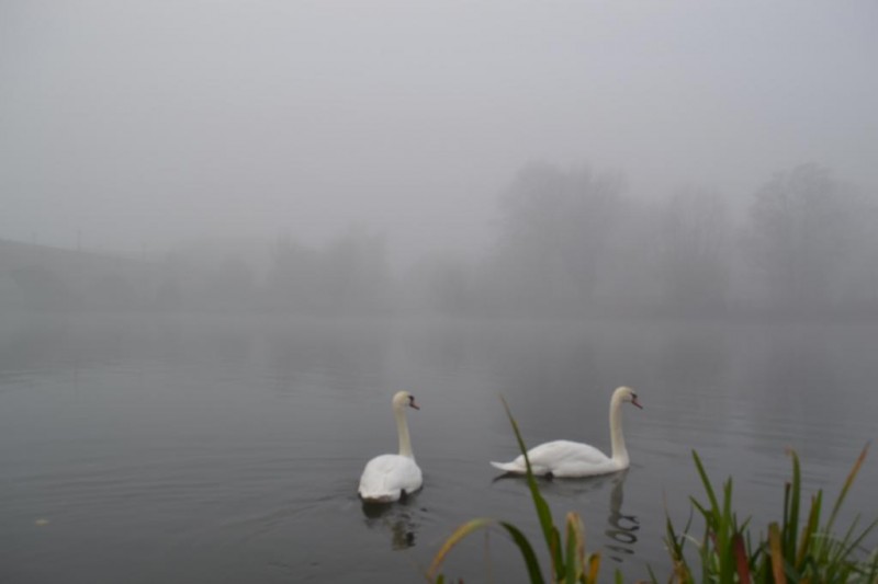 DSC_0139.JPG