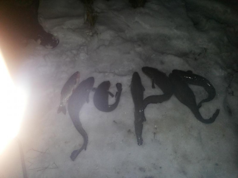 20131212_011706.jpg