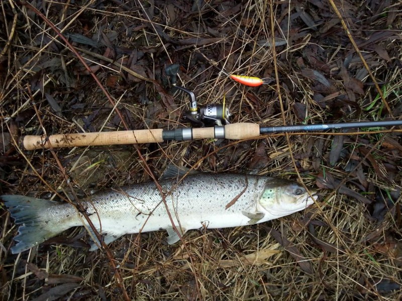 20140104_141842.jpg