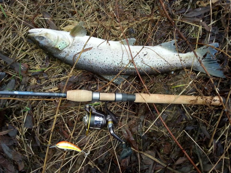 20140104_141854.jpg