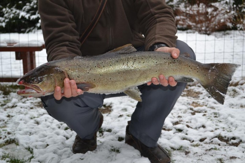 DSC_0054.JPG
