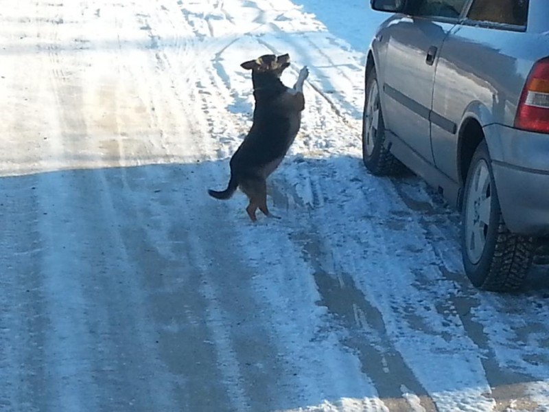 20140119_132359.jpg