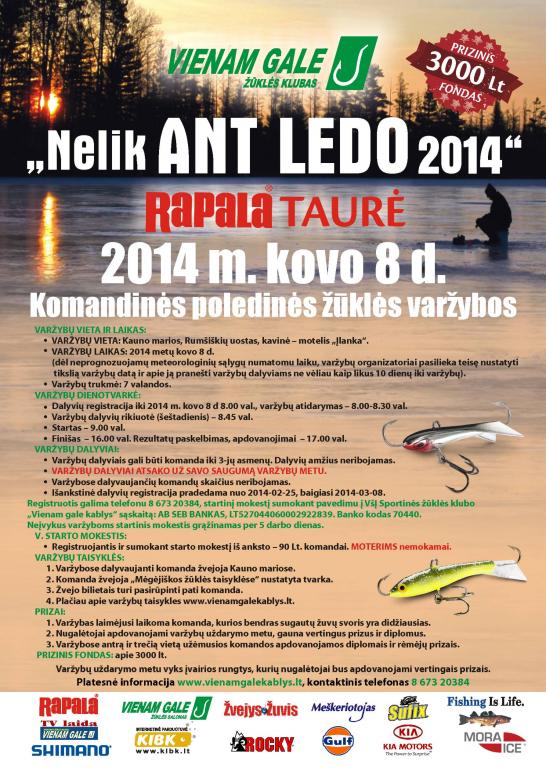 Nelik ant ledo 2014 01.jpg