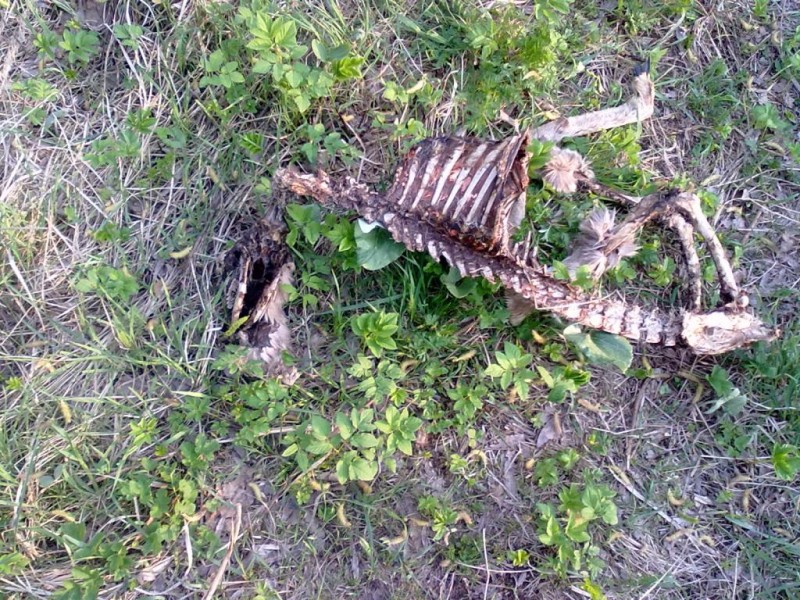 20130512084.jpg