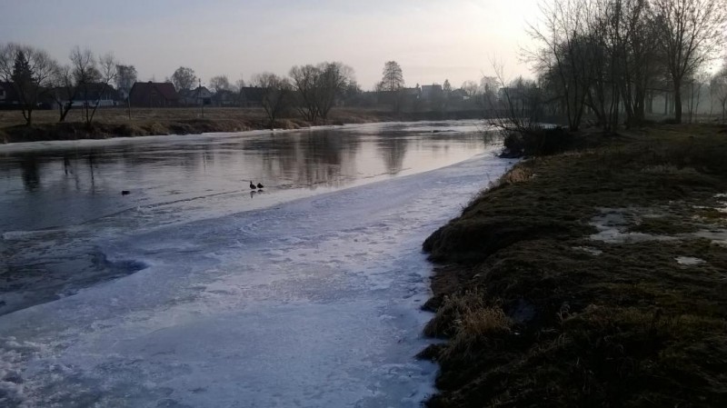 WP_20140207_001.jpg