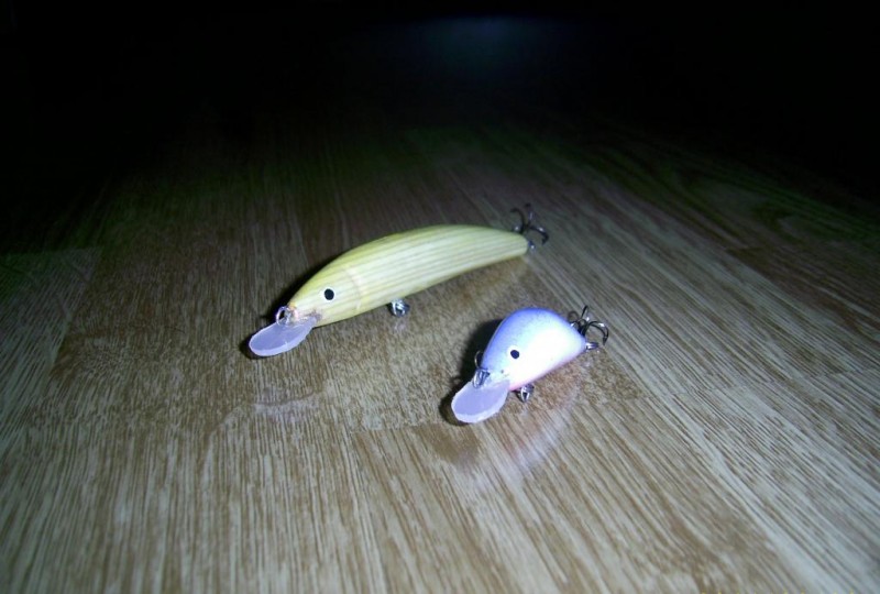 PIC_2958.JPG