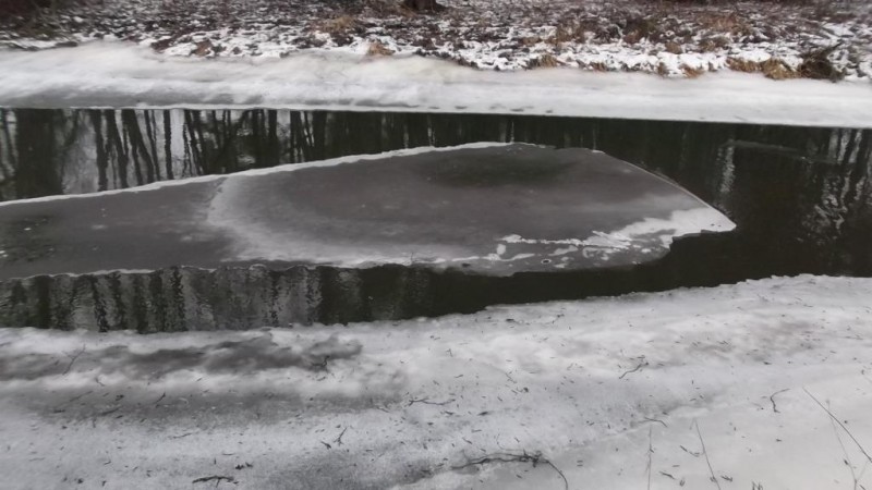 DSCF2186.JPG