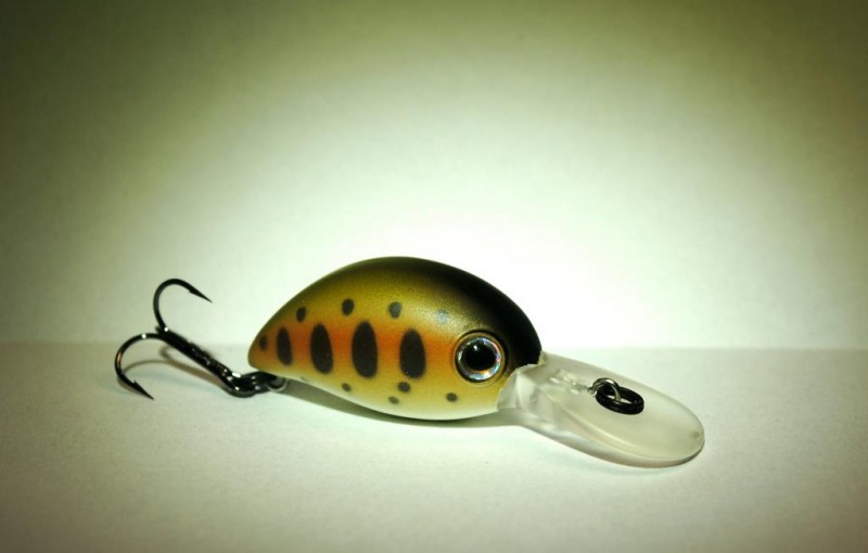 baby hickory mdr.JPG
