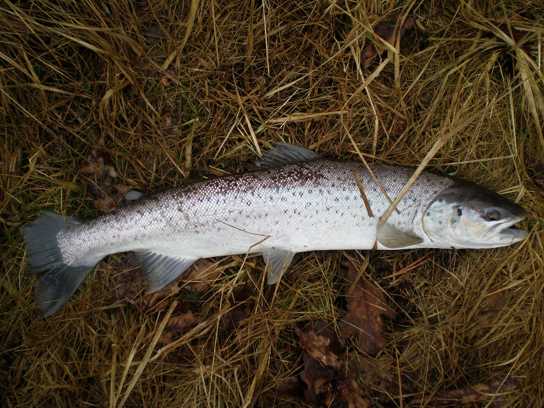P2220004.JPG