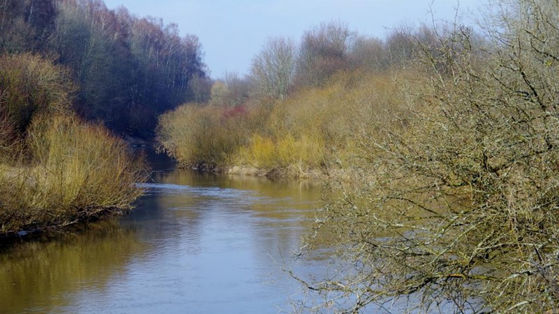 IMGP0965.JPG