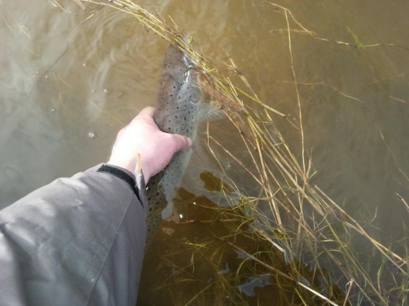 20140226_133928.jpg
