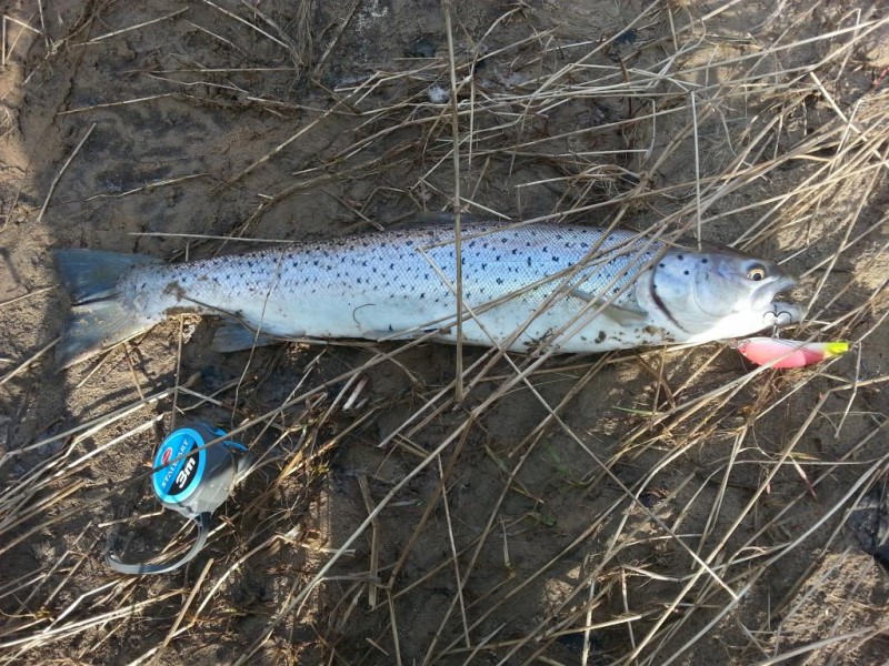 20140226_133845.jpg