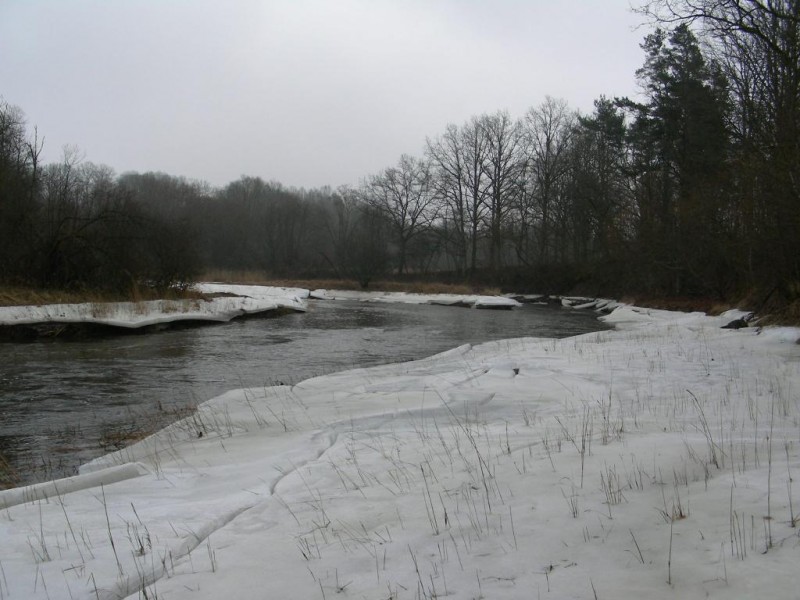 DSCN4428.JPG