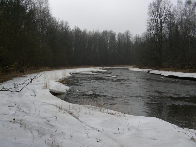 DSCN4429.JPG