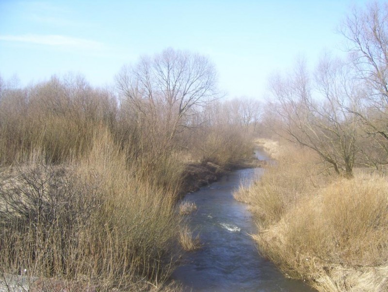 100_3283.JPG