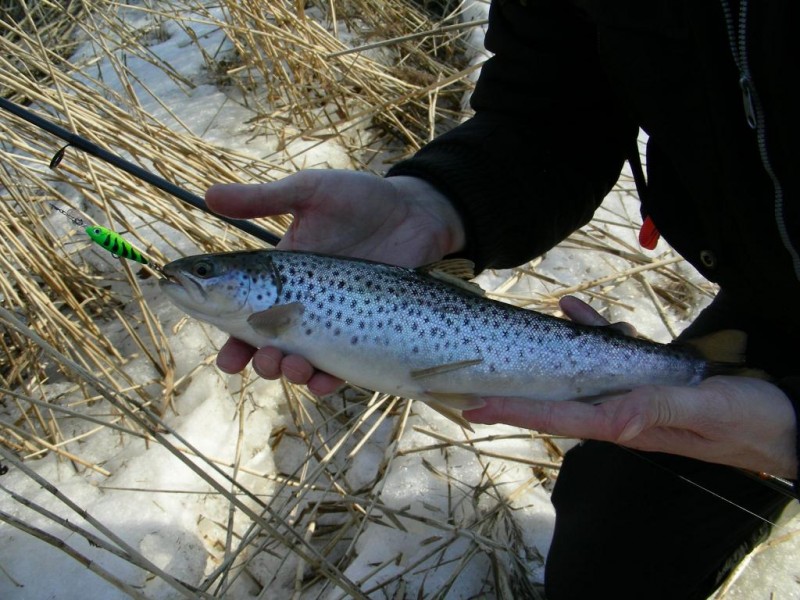 DSCN4450.JPG
