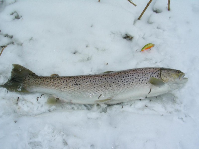 DSCN2662.JPG