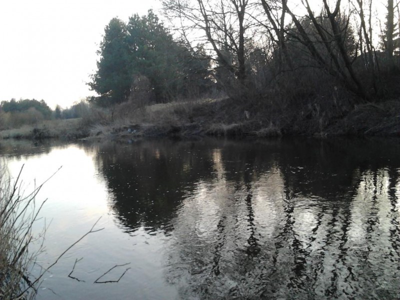 2014-03-04 17.25.36.jpg