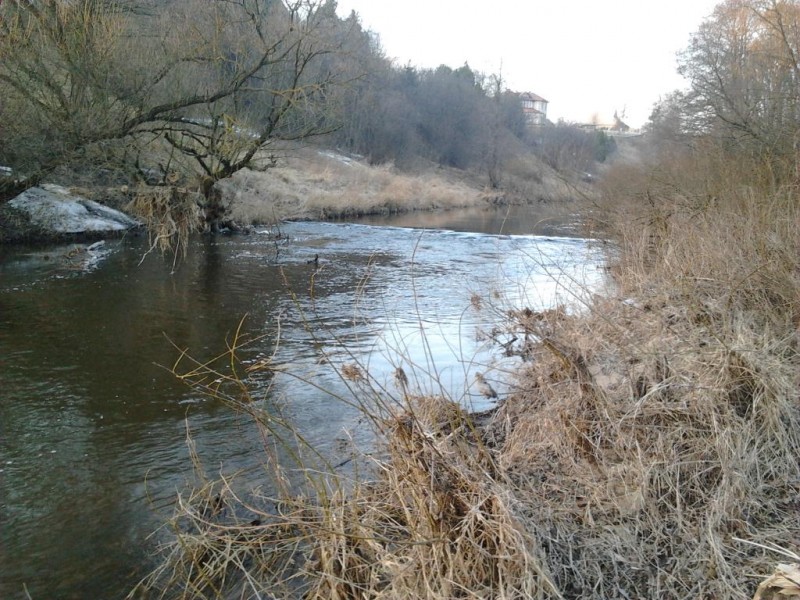2014-03-04 17.27.17.jpg