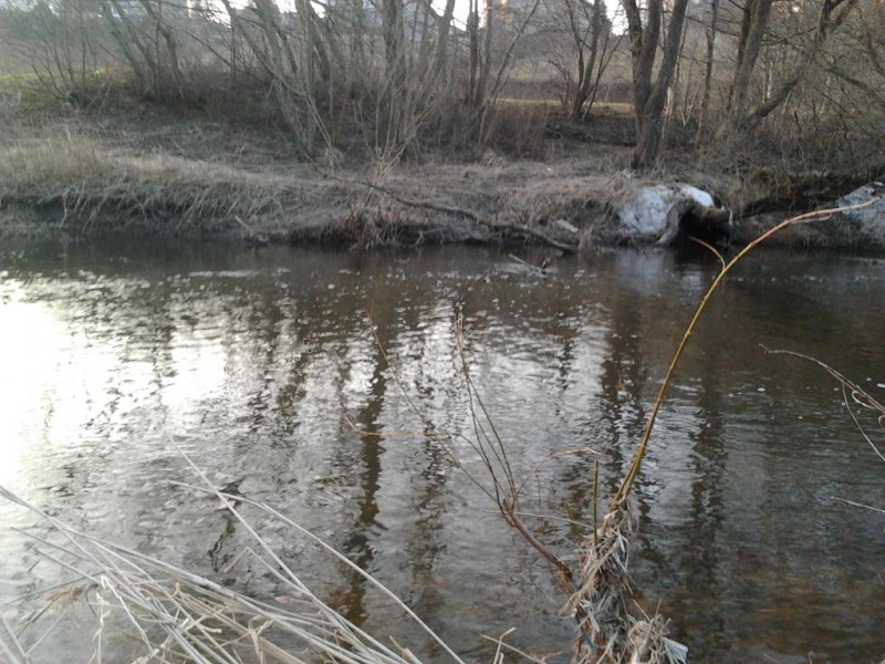 2014-03-04 17.27.22.jpg