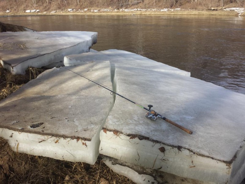 20140309_111556.jpg