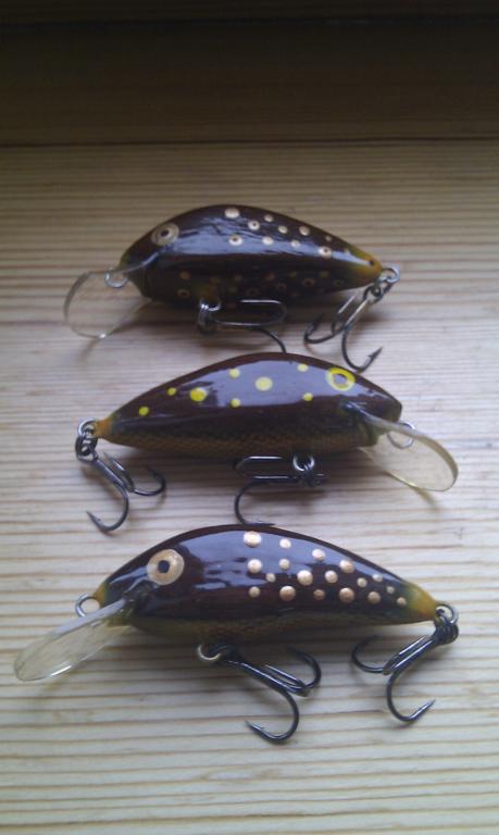 IMAG0743.jpg