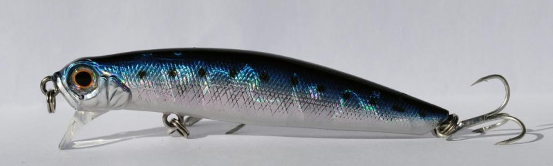 Jackson dead float 8.JPG