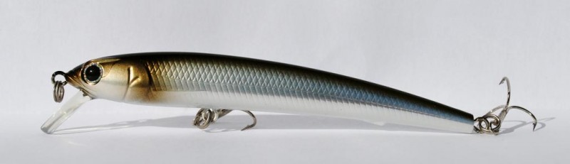 Evergreen m1 inspire minnow sp.JPG