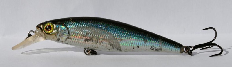 Jackall squad minnow 65 sp 1.JPG