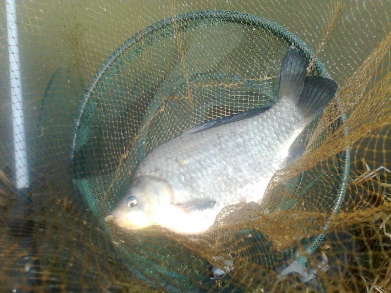 Nuotrauka0483.jpg
