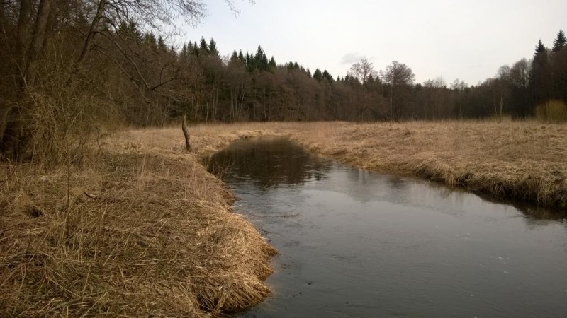 03.jpg