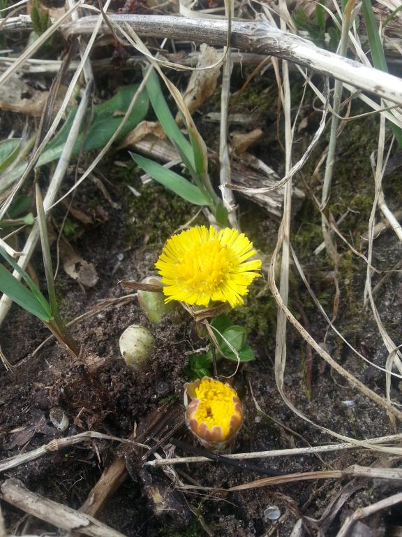2014-03-22 12.39.12.jpg