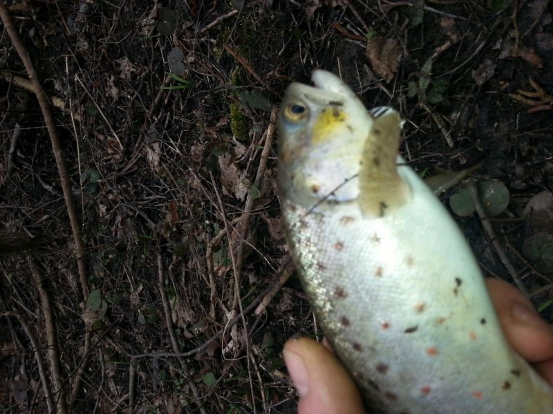 20140318_143055.jpg
