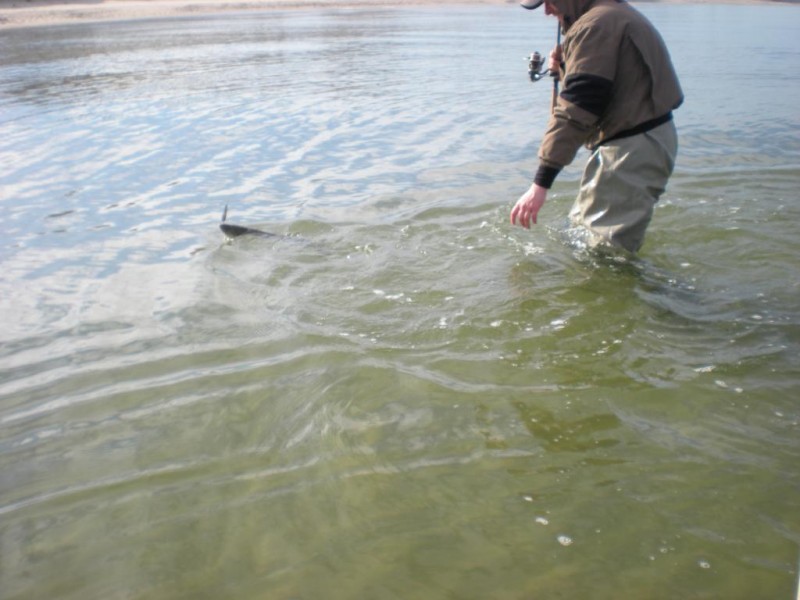 DSCN4434.JPG