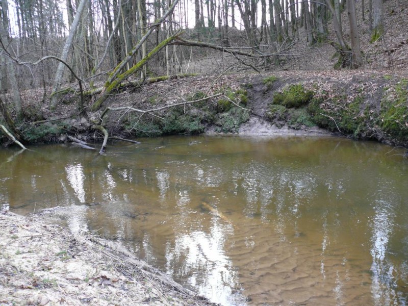 P1170426.JPG