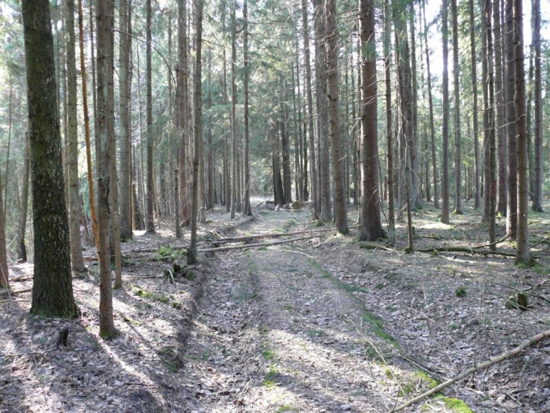 P1170436.JPG