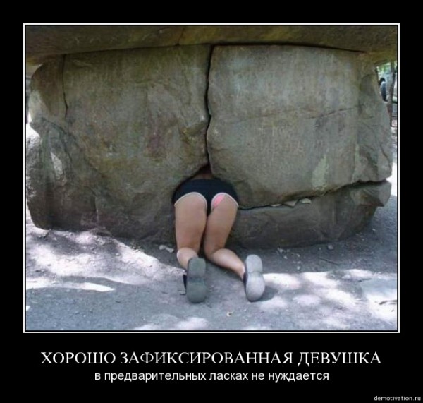 488_600.jpg