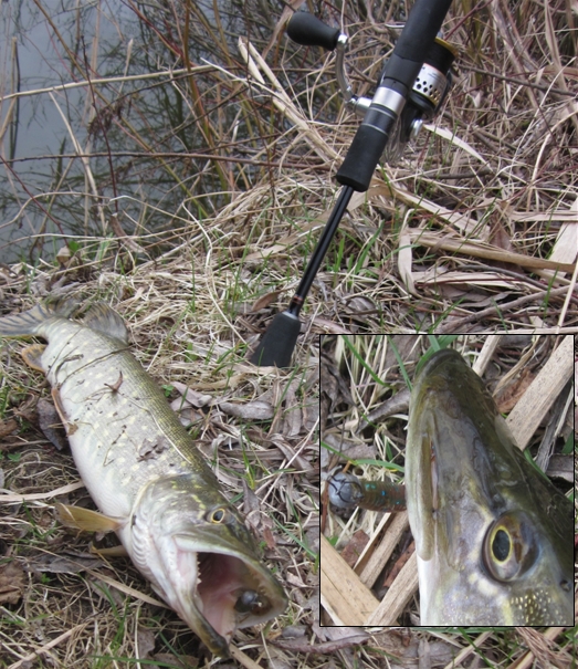 20140409 02.jpg