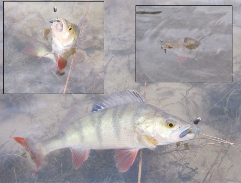 20140409 08.jpg