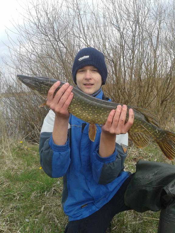 20140411_140646.jpg