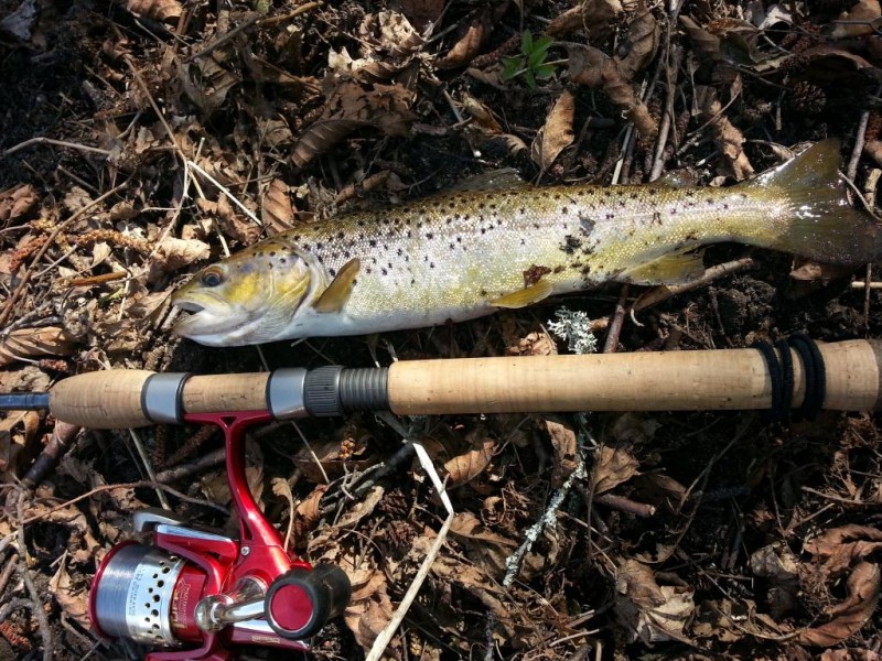 20140330_125554.jpg