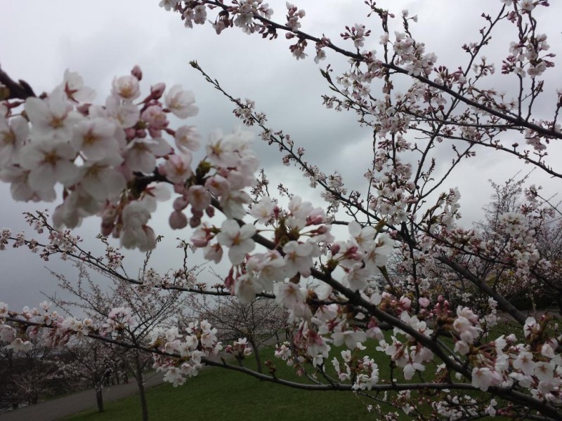 20140414_125621.jpg