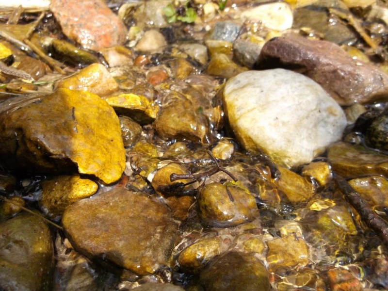 DSCF2410.jpg