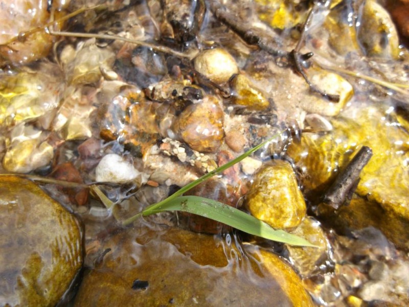 DSCF2413.jpg