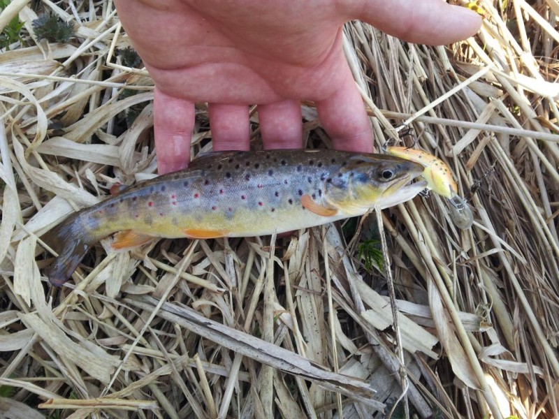 20140419_133604.jpg