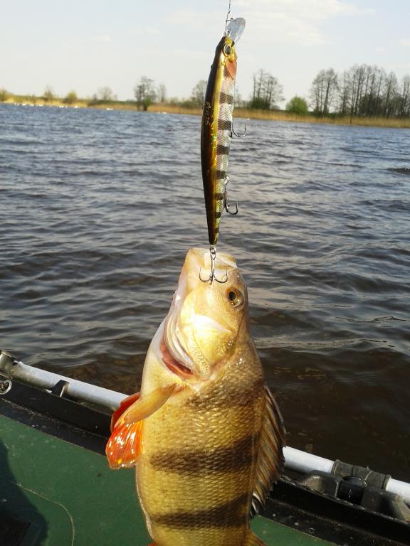 20140420_155043.jpg