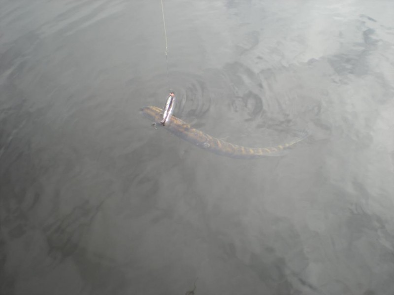 DSCN4449.JPG